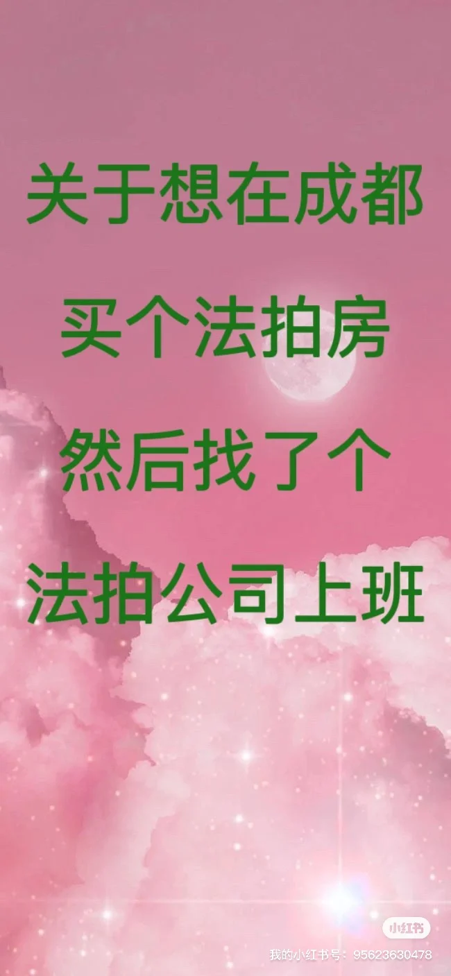 在法拍房公司卧底的第一天