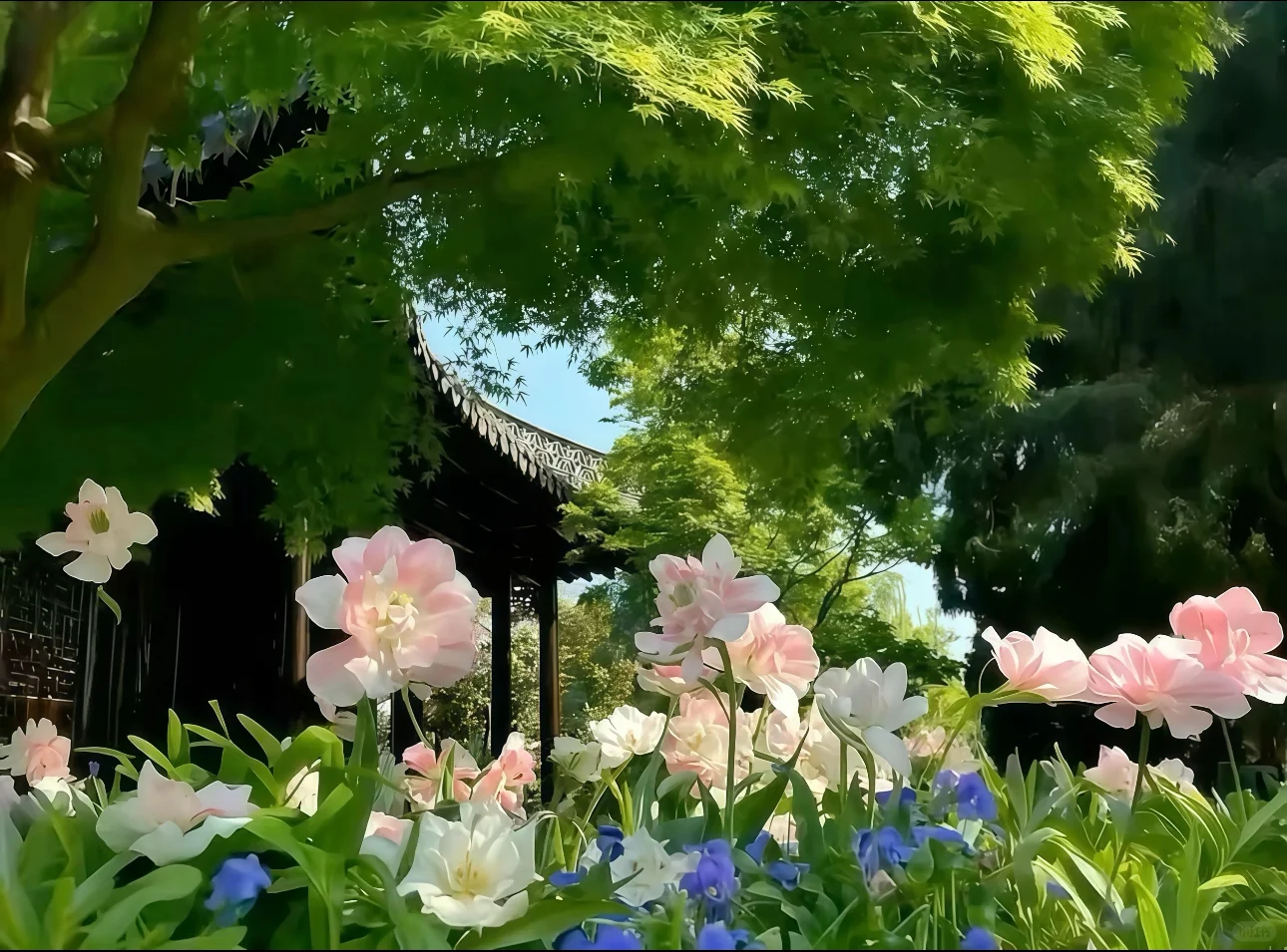 存一些好看的iPad壁纸！！！