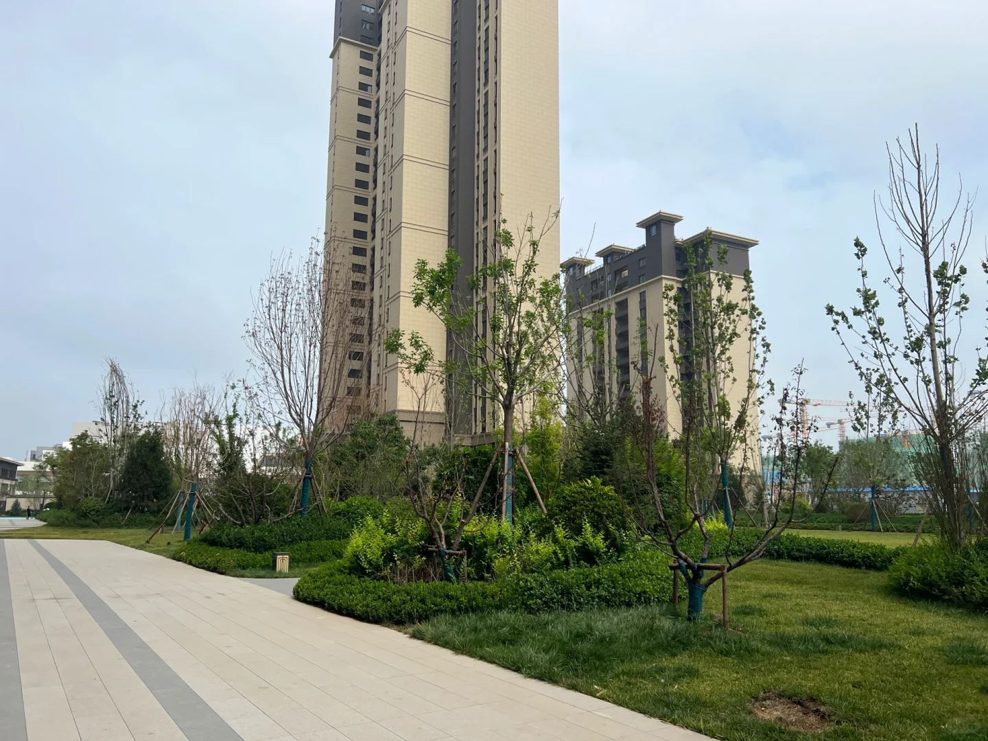 沧州运河区吾悦华府看房笔记