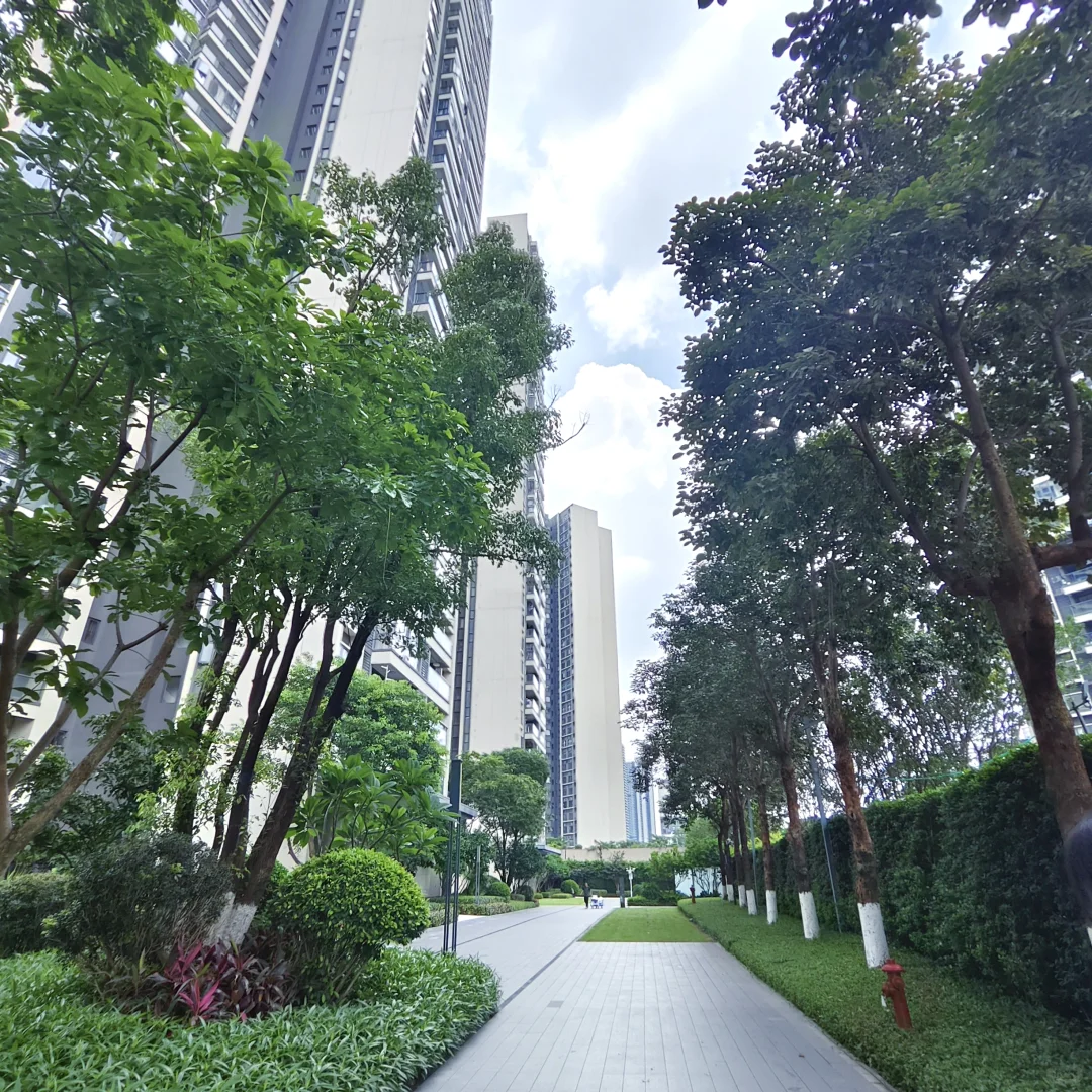 佛山｜北滘新城🏠依旧复古风｜168🥣➗