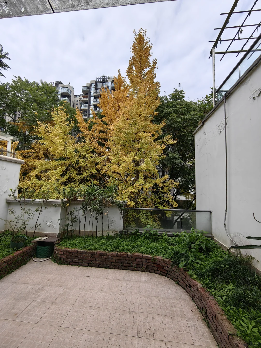 我在成都找到理想家，5个露台+低密度洋房