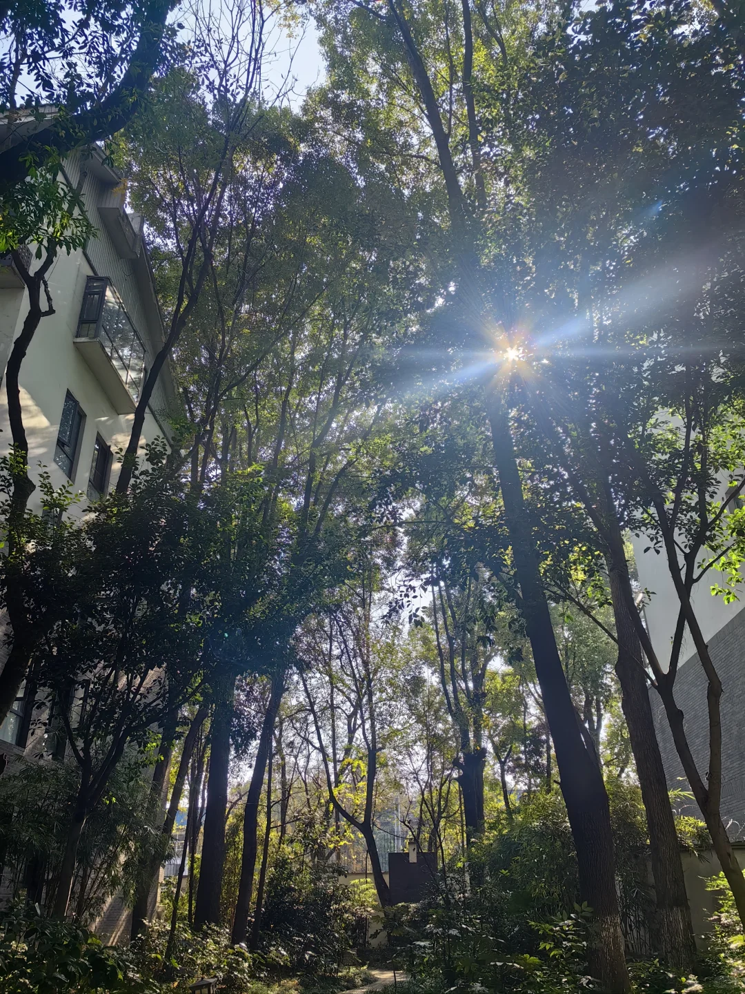 我在成都找到理想家，5个露台+低密度洋房