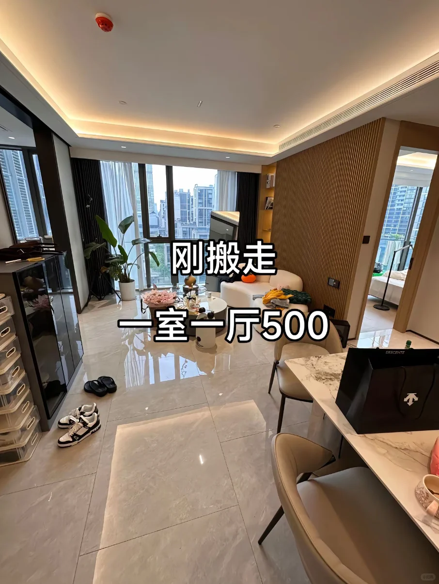 天津室一室一厅500带走