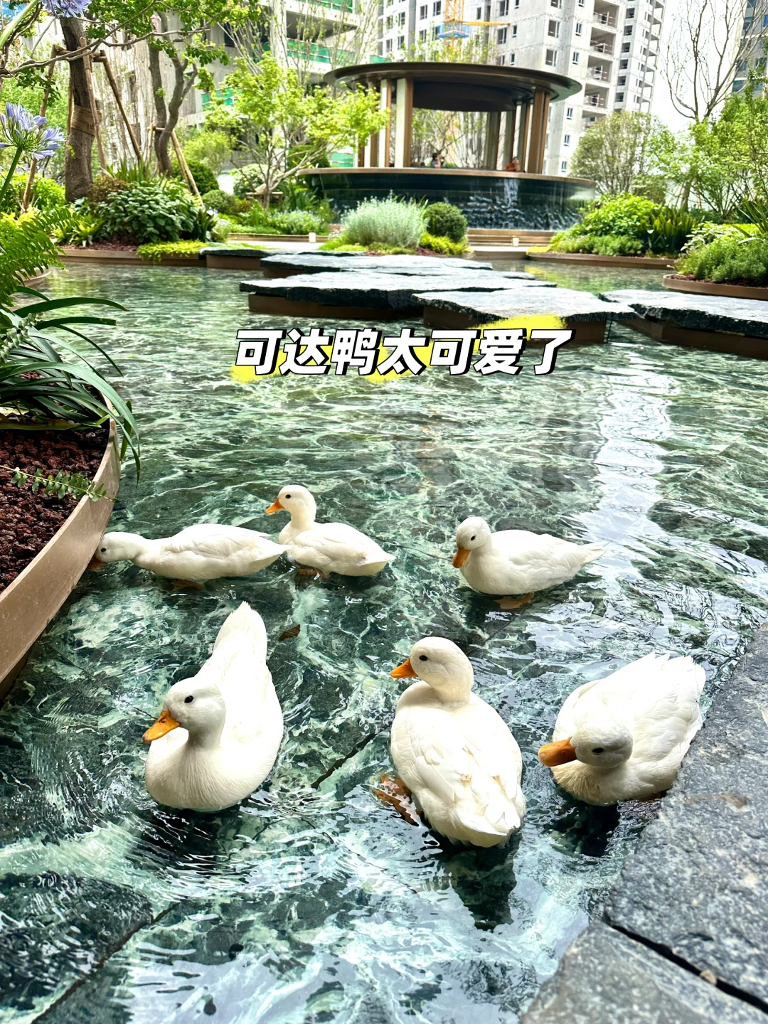 1.8w，港务区华润港宸润府值得买吗？