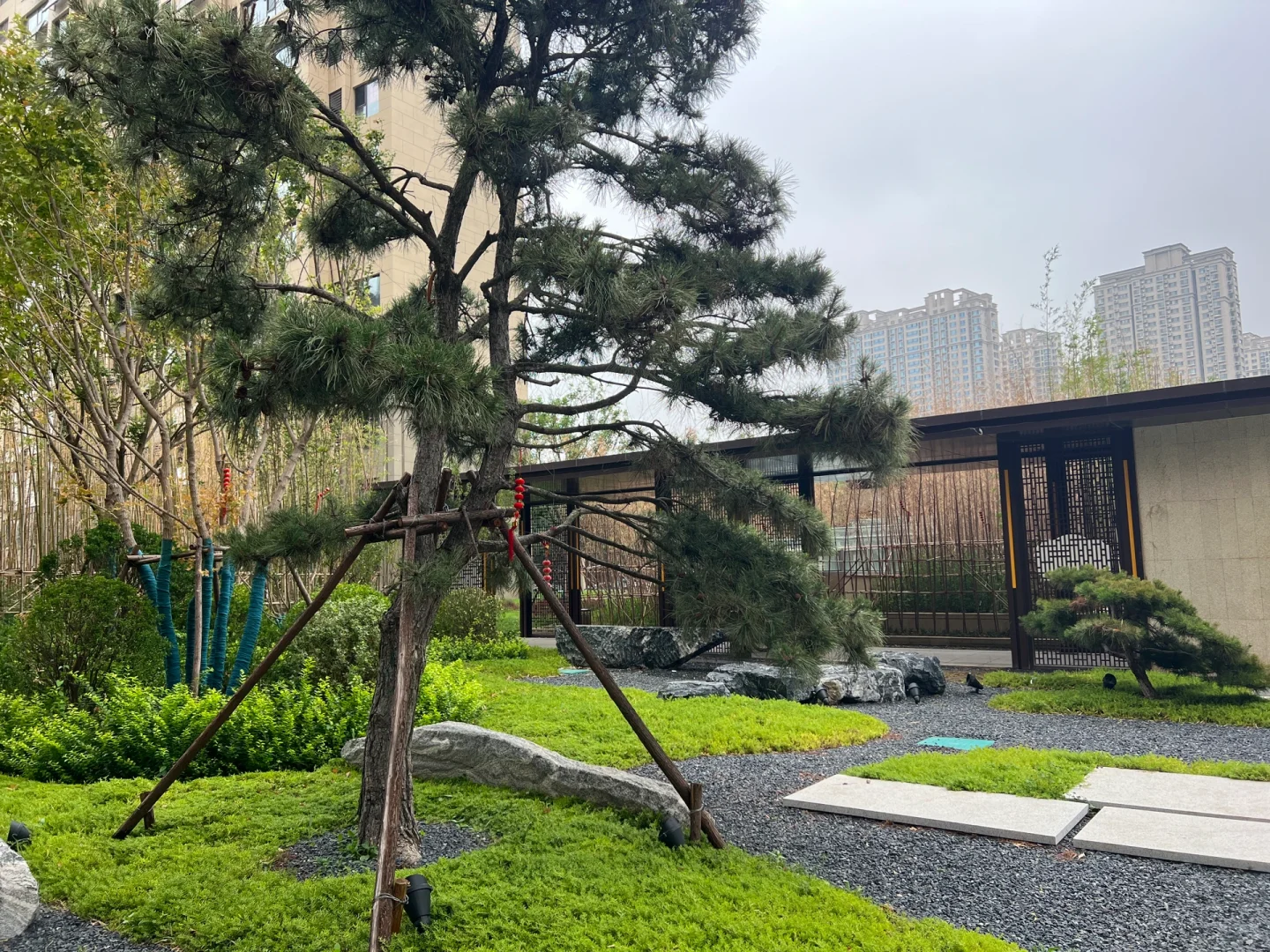 沧州运河区吾悦华府看房笔记