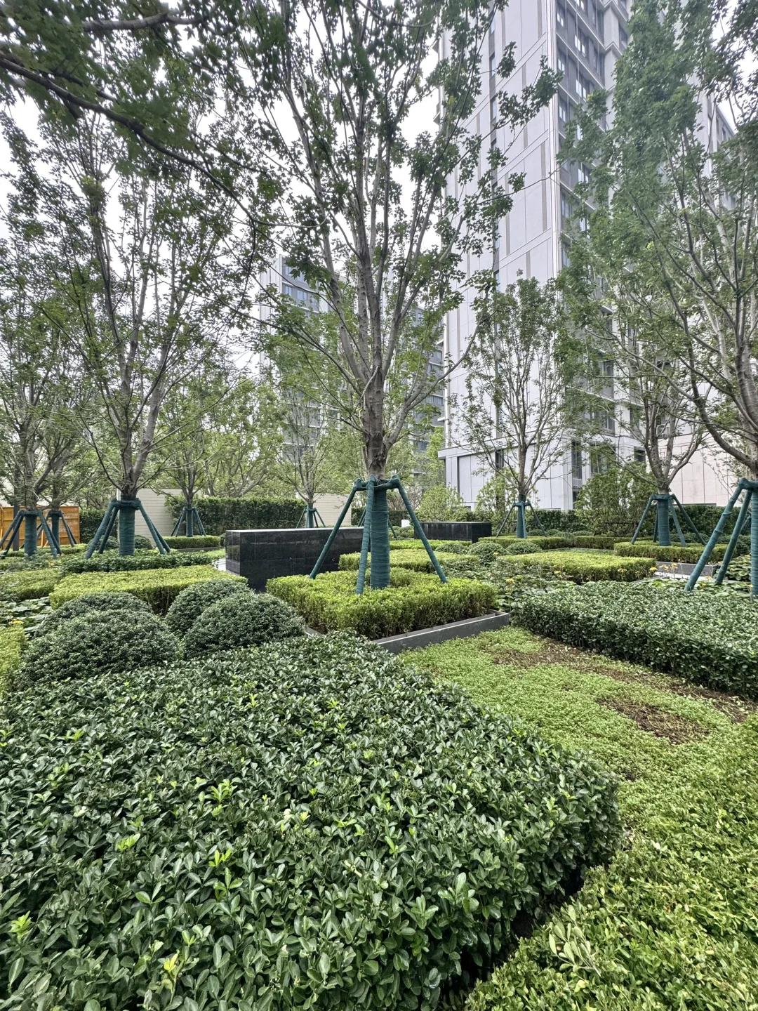 当场刷💳订房！望雲实景园区品质也太能打了