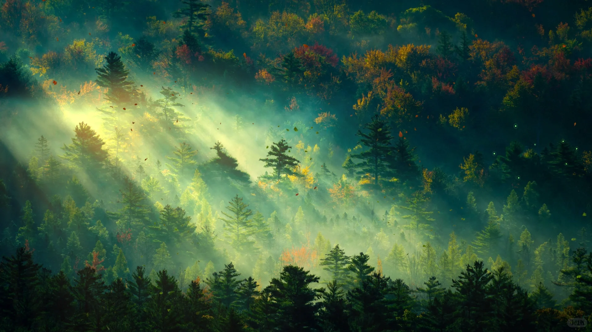 Wallpaper Engine🏆广受好评的壁纸分享