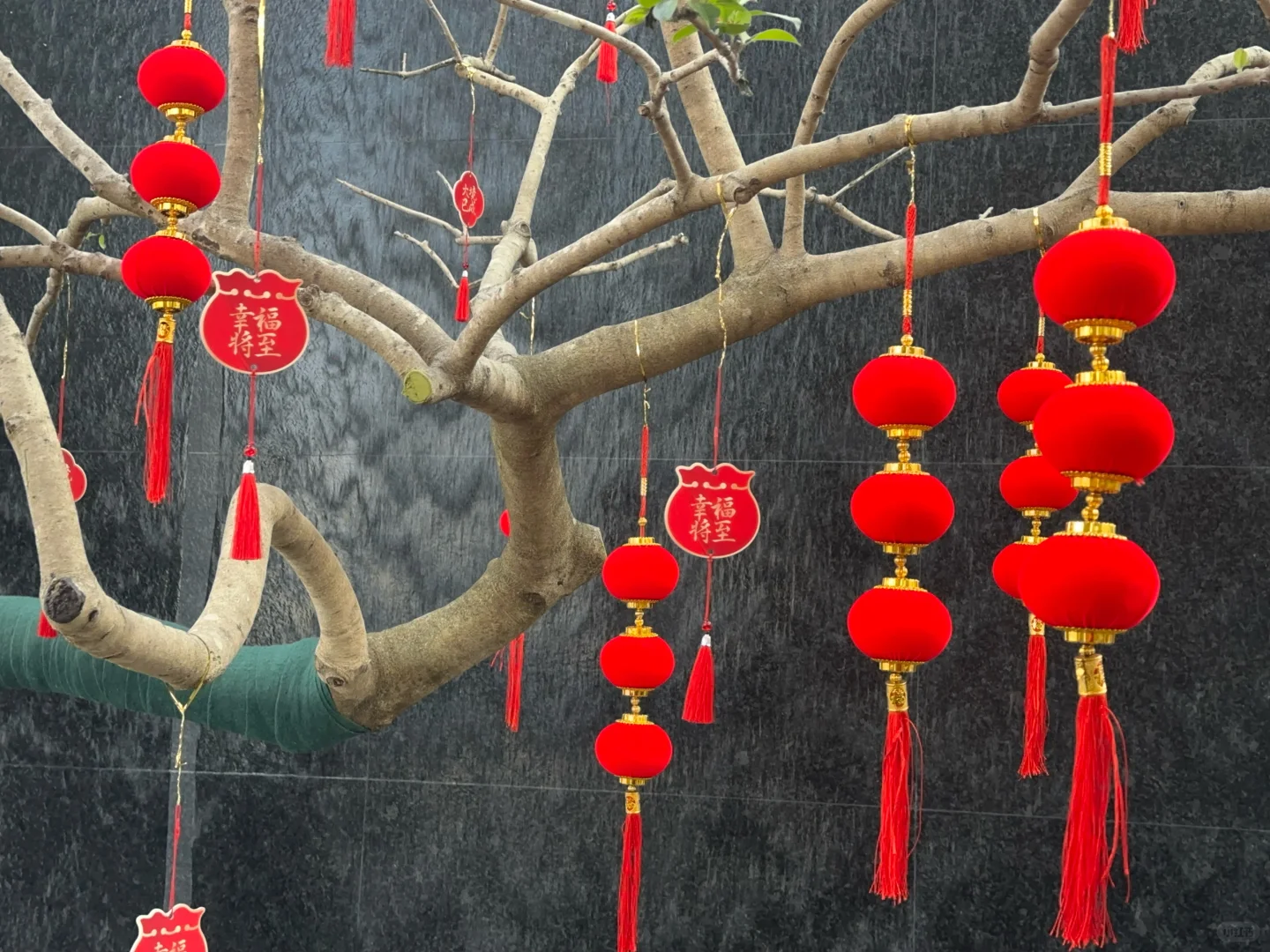 🎊奔向2025｜收房大吉🏃