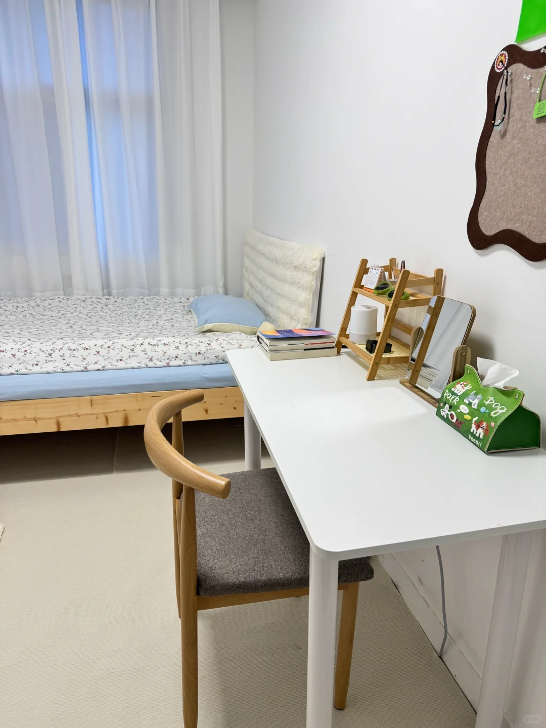 800元租下我的理想独居空间🏠