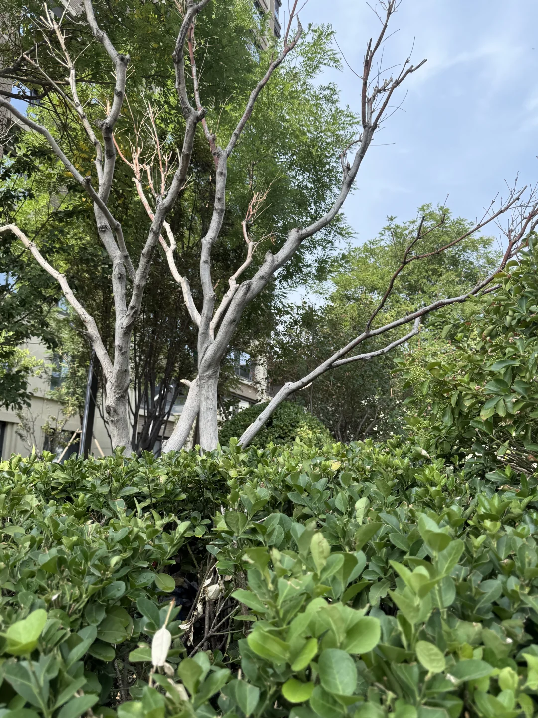 给准备买房的姐妹一点建议！