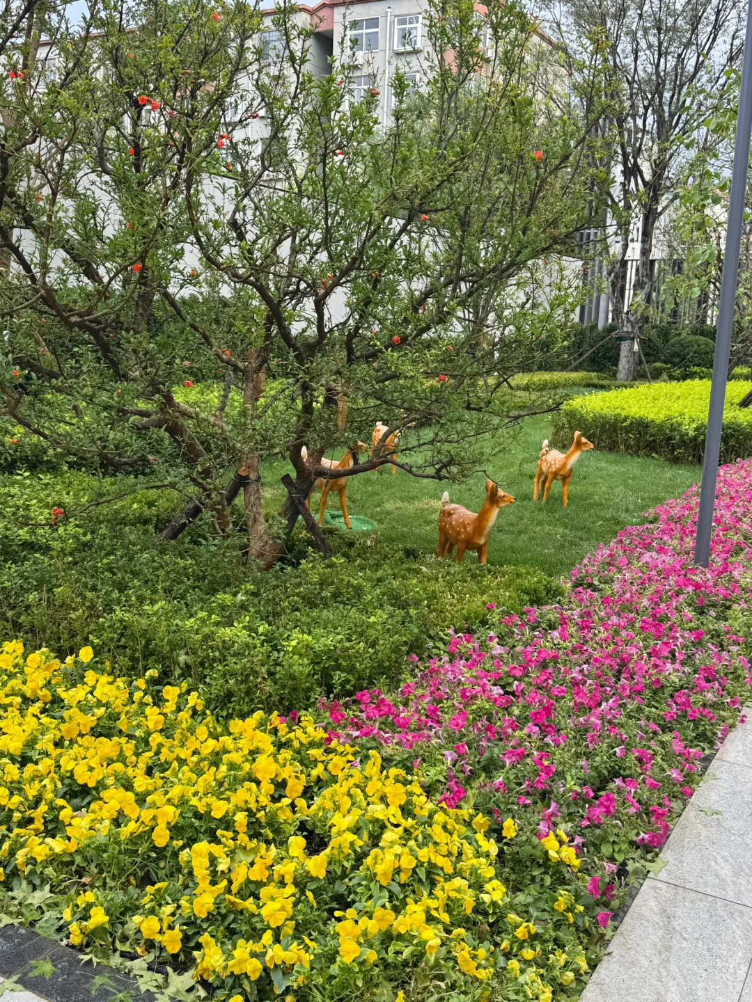 石家庄，不敢想象住在这会有多快乐！！！