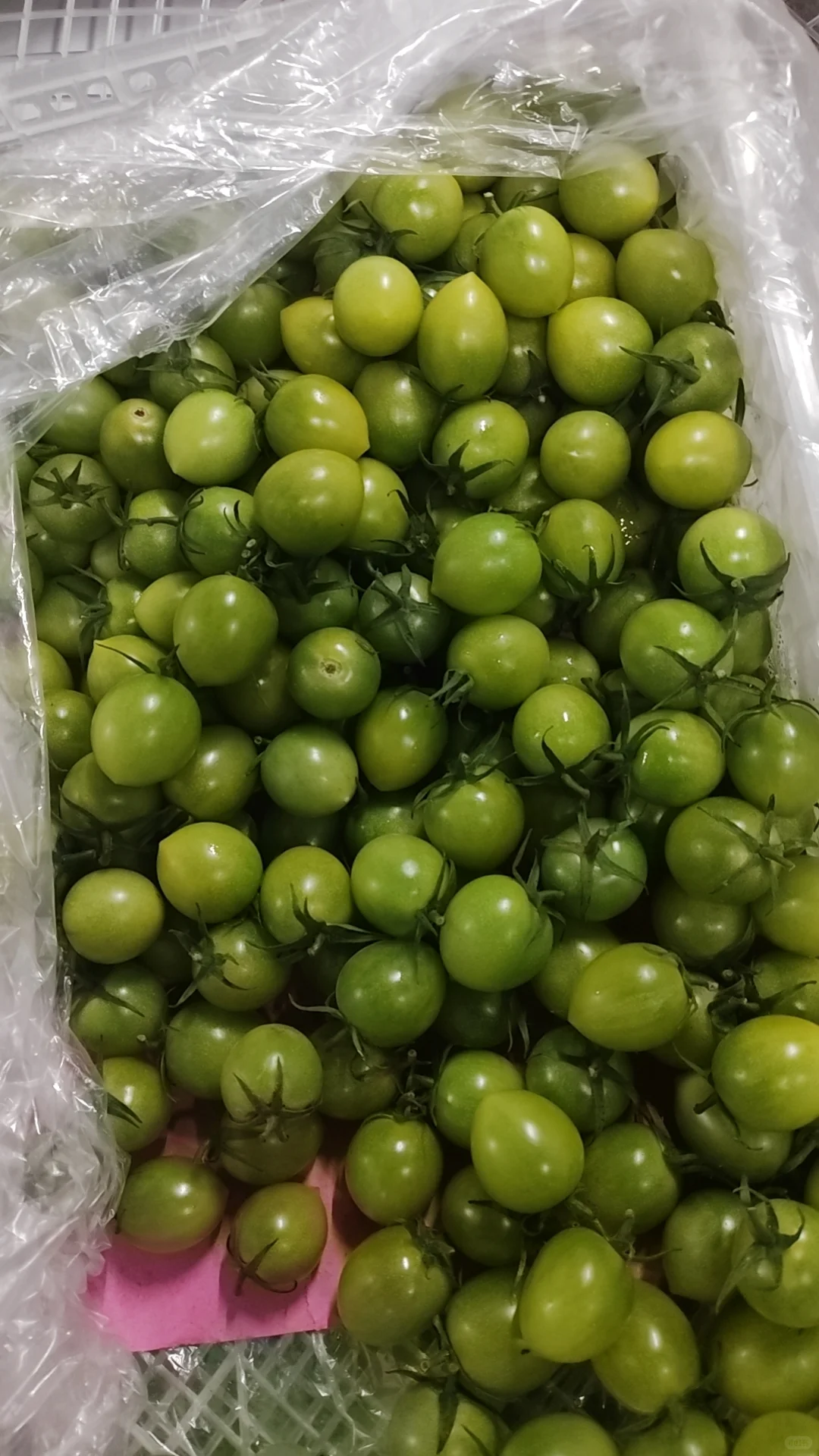 社区团购日团4000+生鲜🍎我是怎么做的❗