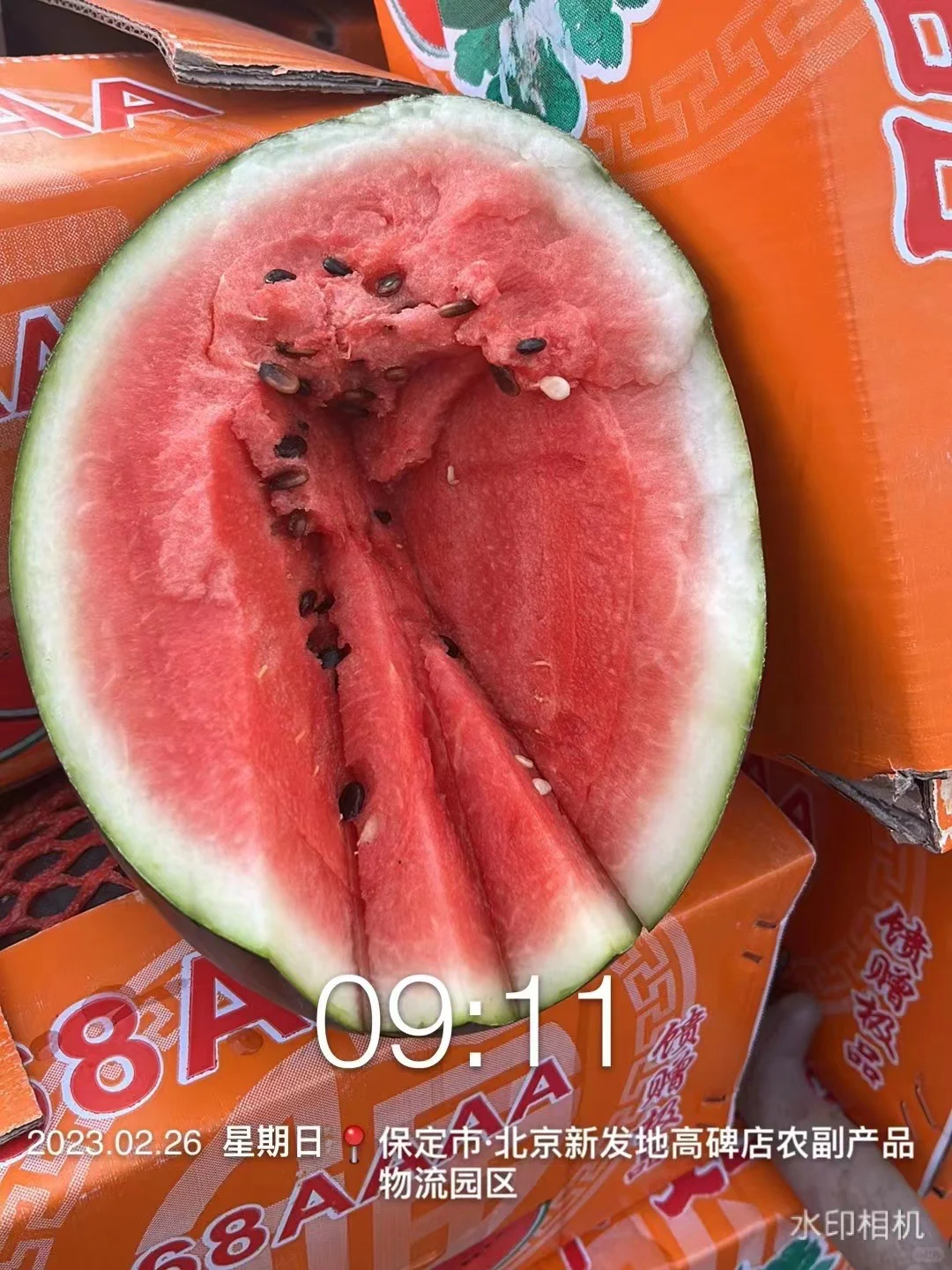 社区团购团长第一天｜找货源