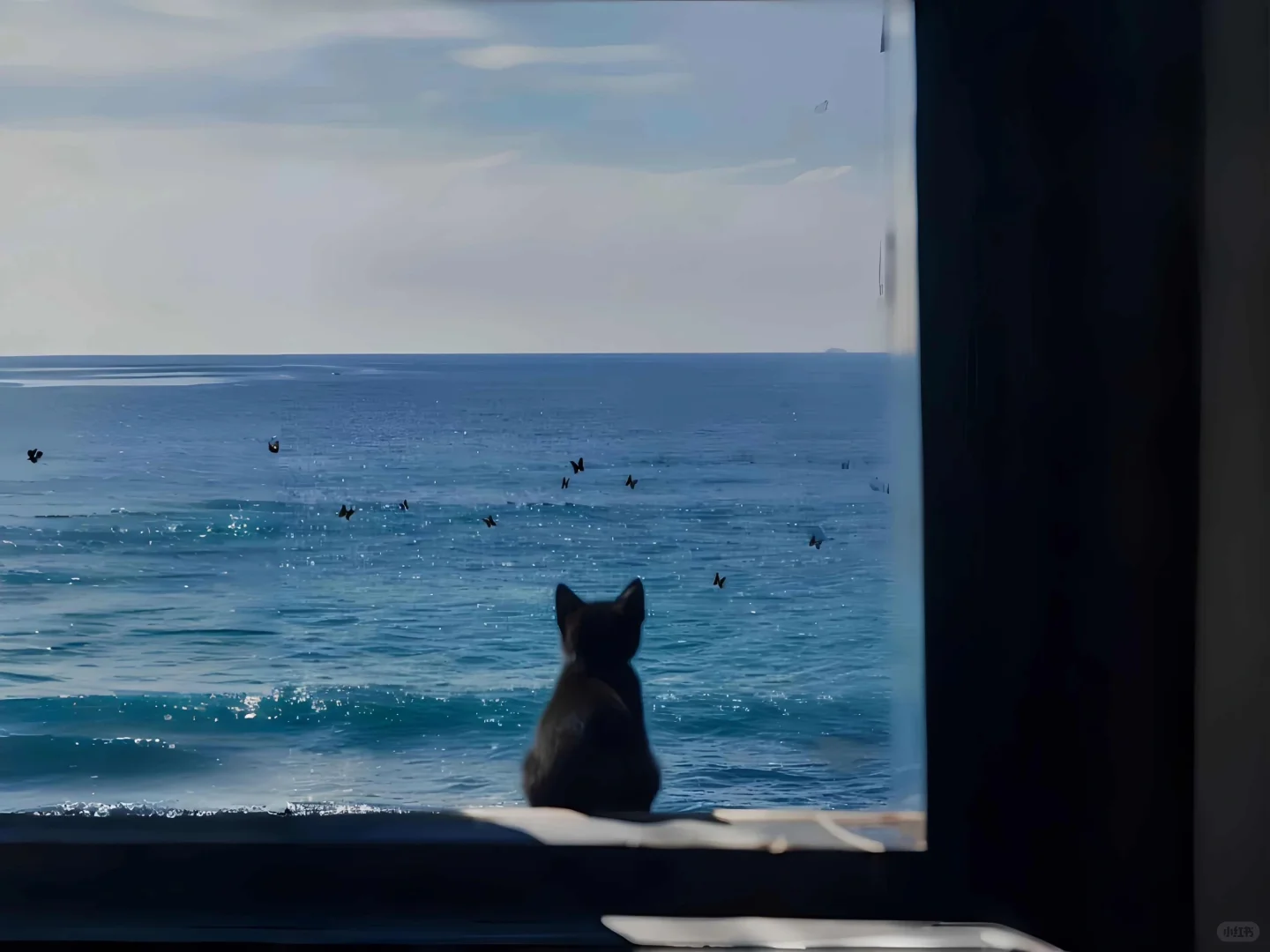 好治愈的猫咪平板壁纸🐱