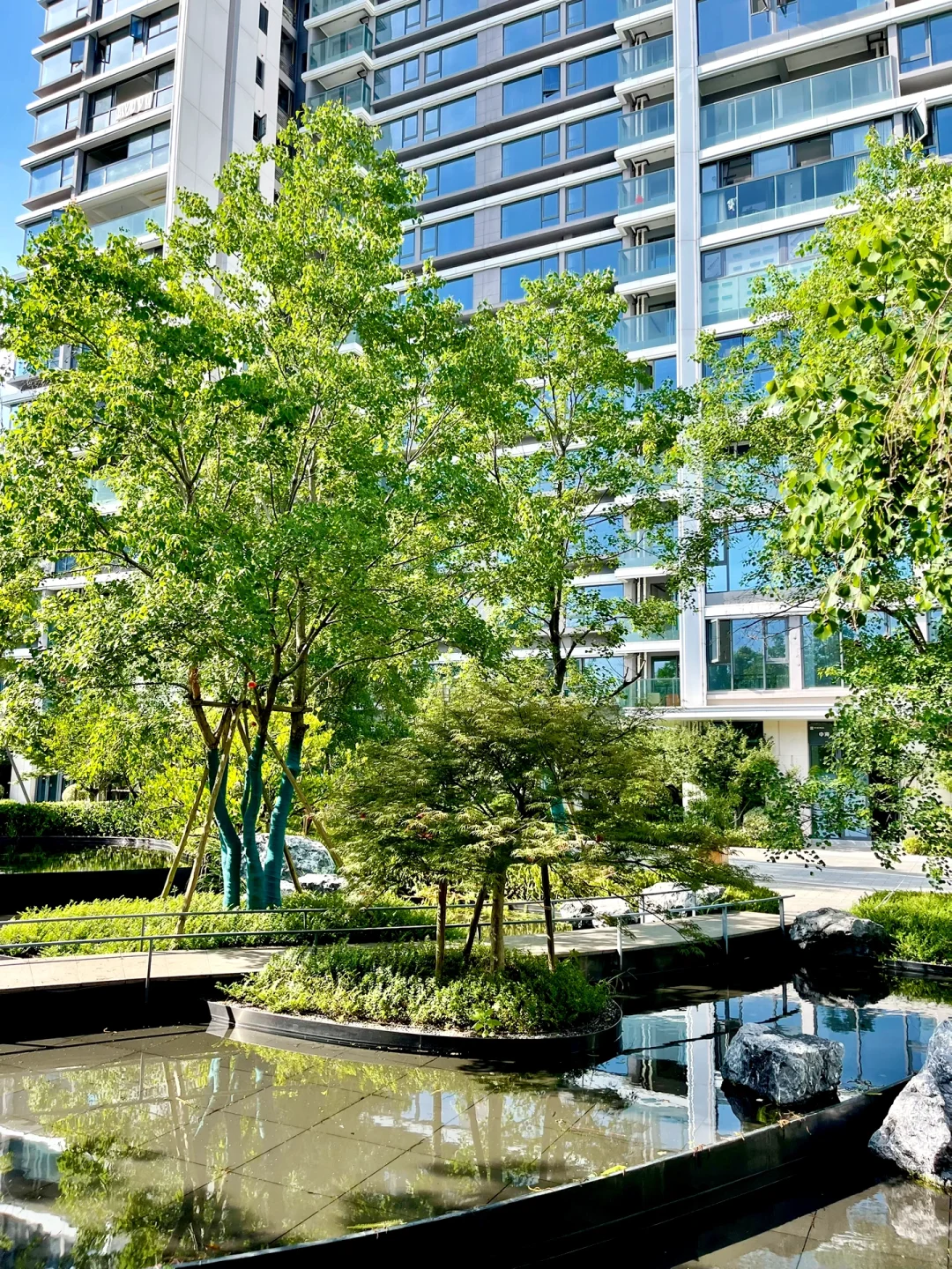 在温州白鹿洲✨280万买到我的dream house