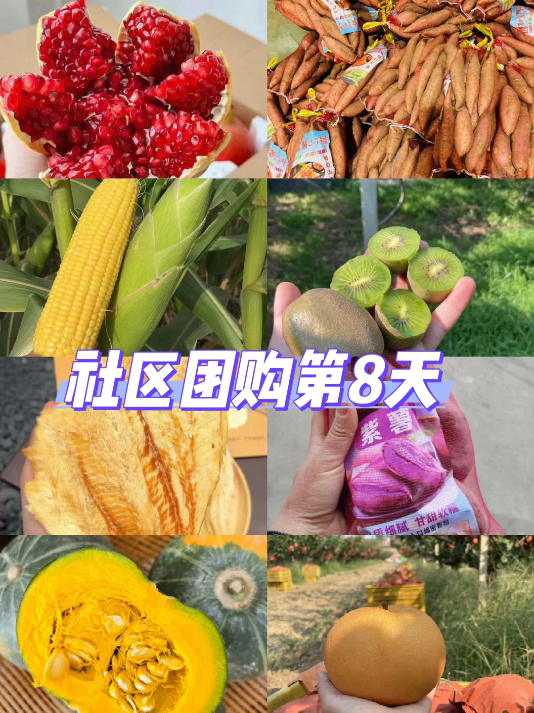 社区团购第8天～