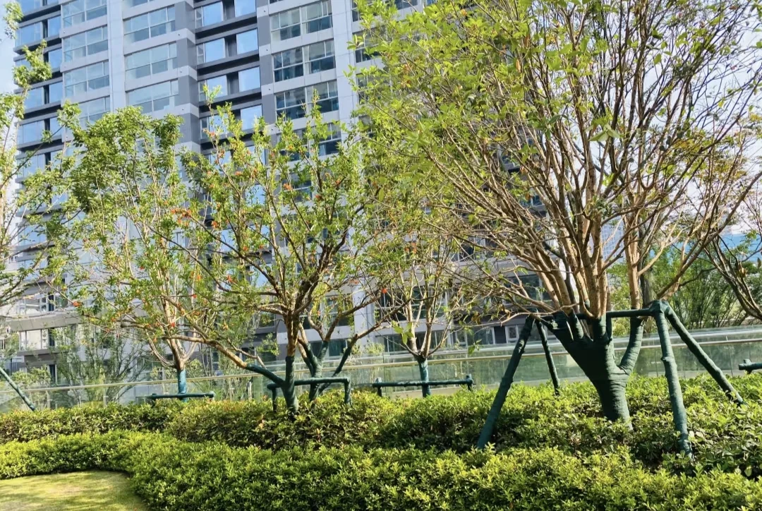 天桥区二环内100万左右小高洋房天桥区买房