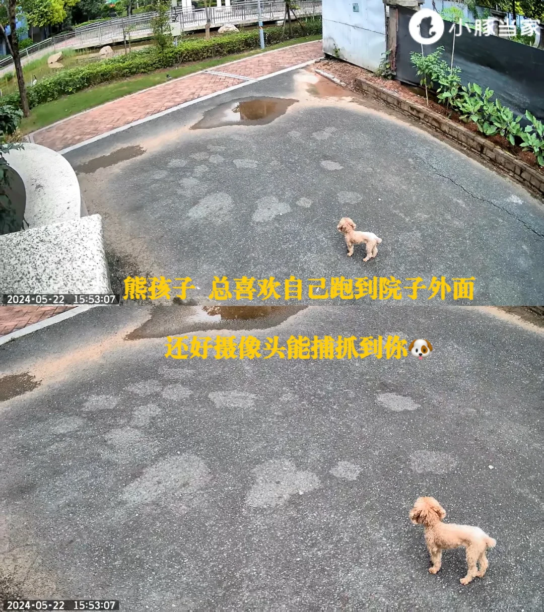 800平豪宅揭秘 装修只花400W 安全全靠它🏠