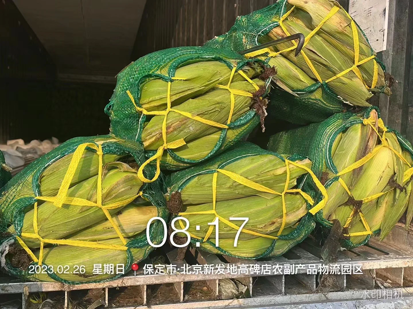 社区团购团长第一天｜找货源