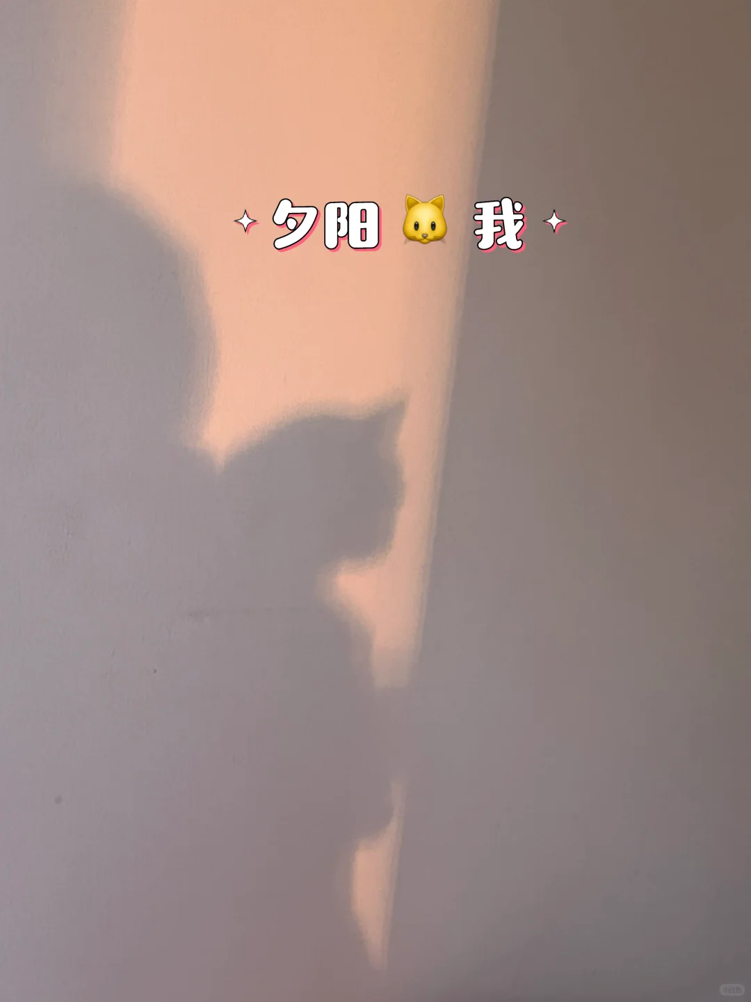 路过的姐妹暂停⏸️一下，恭喜这位女士买房🏠