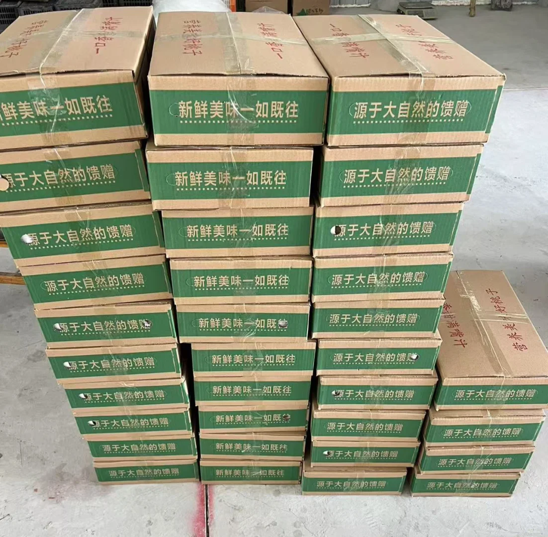 大家不做社区团购了都去干啥了