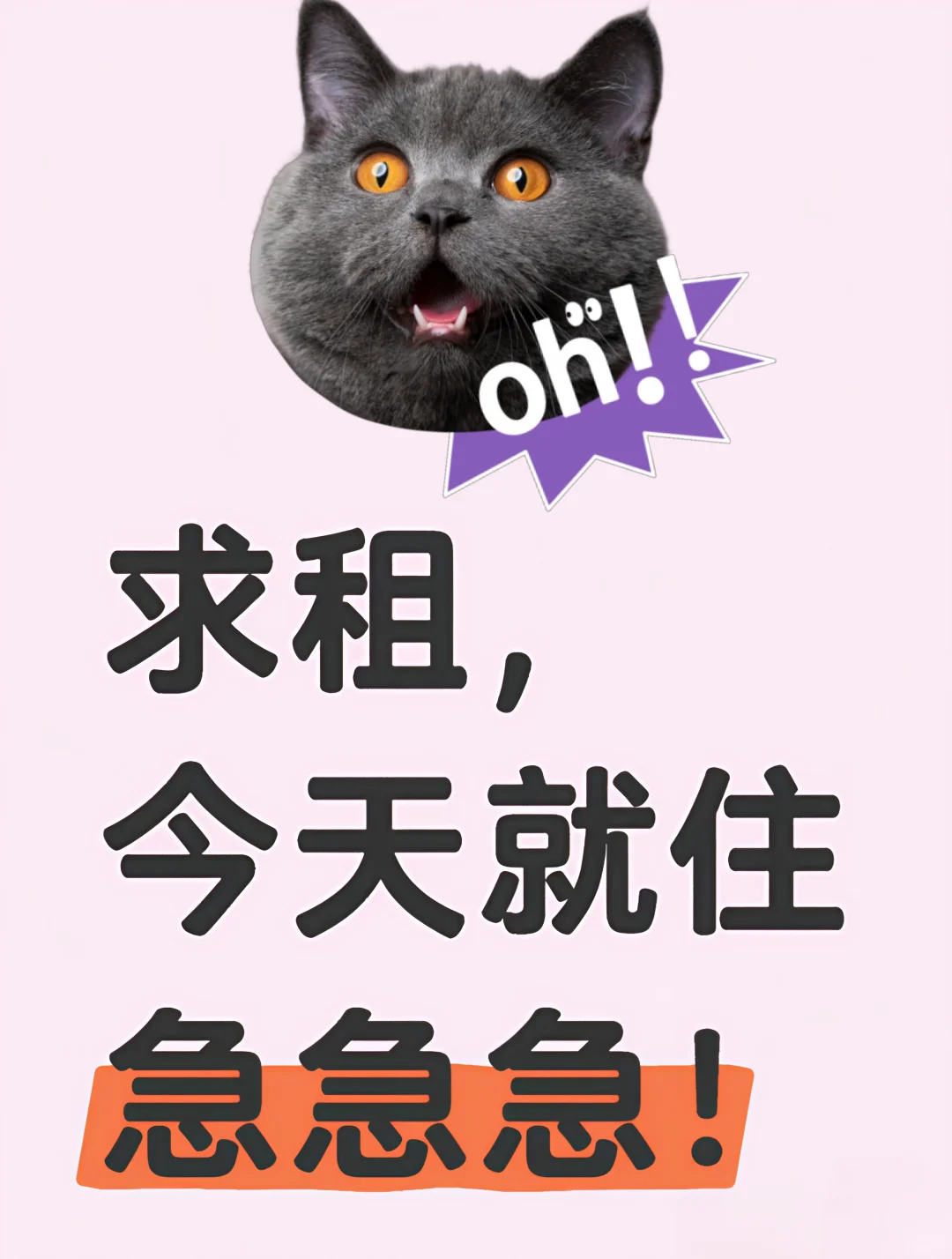 求租 今天就住