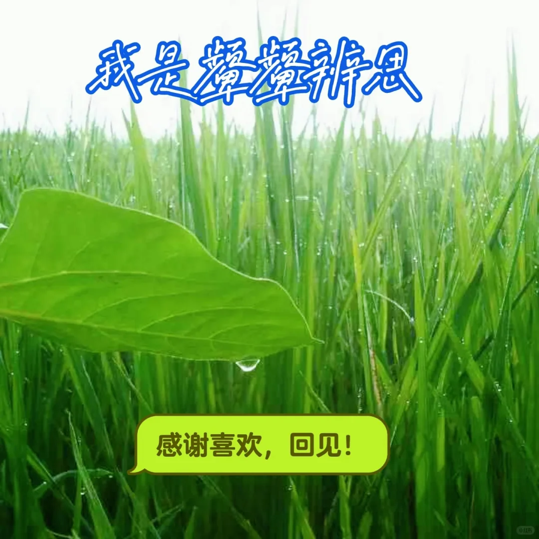 买农村宅基地没过户？表叔百万房款差点打