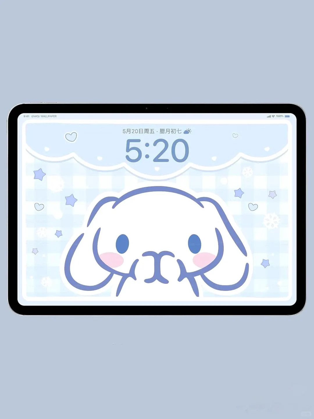 小小玉桂狗｜平板壁纸