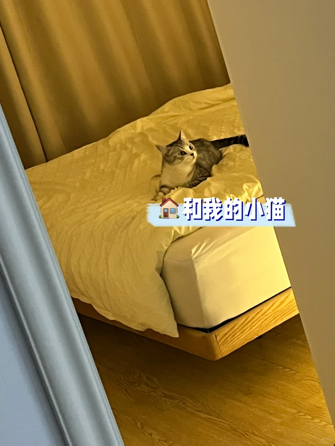 路过的姐妹暂停⏸️一下，恭喜这位女士买房🏠