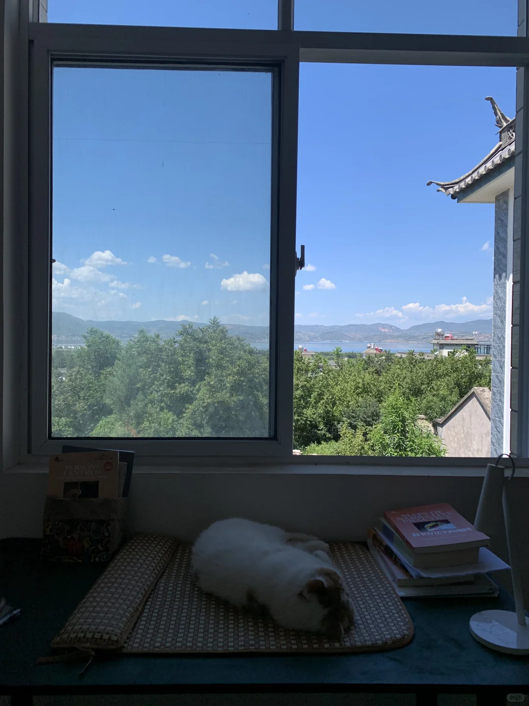 我的大理租房经验（几百块预算版）