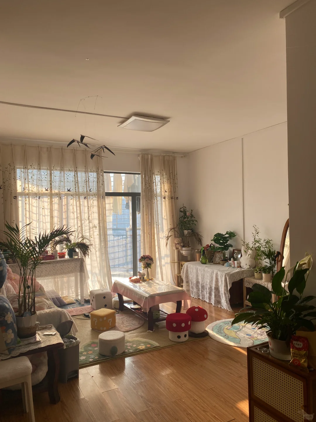 我住的，不租！