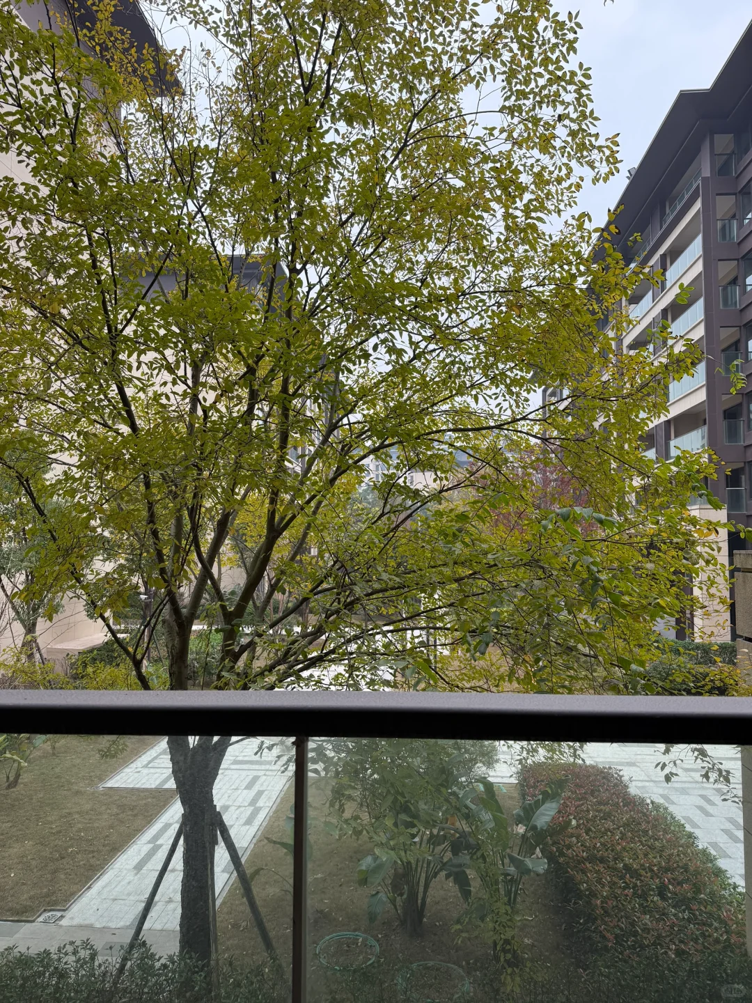 感谢重庆房价，80w让我拥有了167平的家🏠