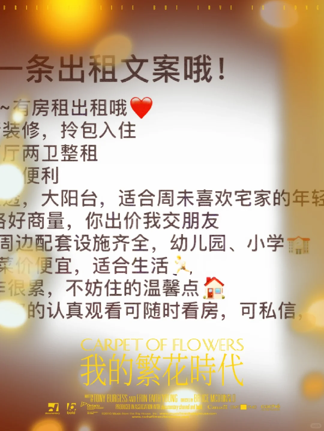 新房首租，高层电梯房，采光好，房东直租