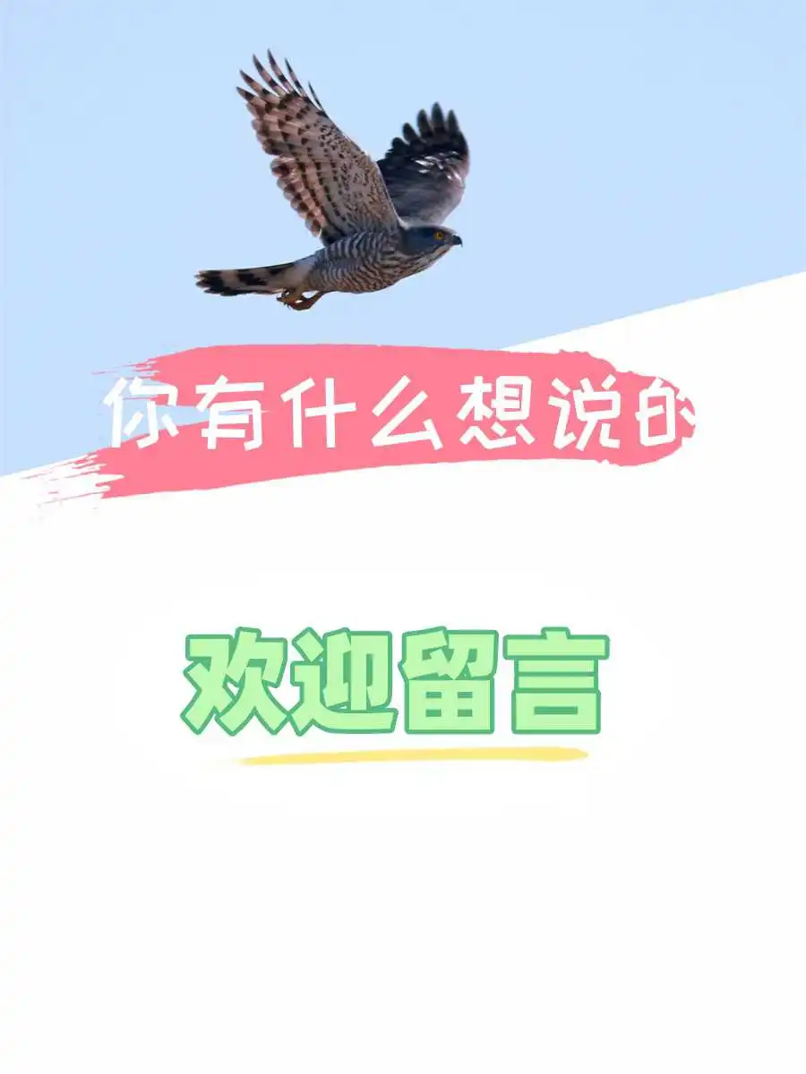 买农村宅基地没过户？表叔百万房款差点打