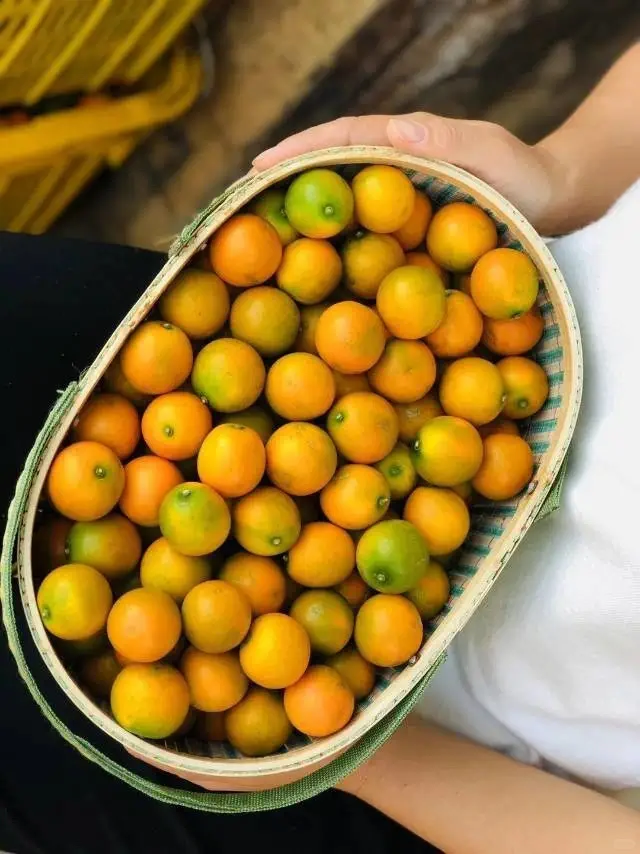 社区团购日团4000+生鲜🍎我是怎么做的❗