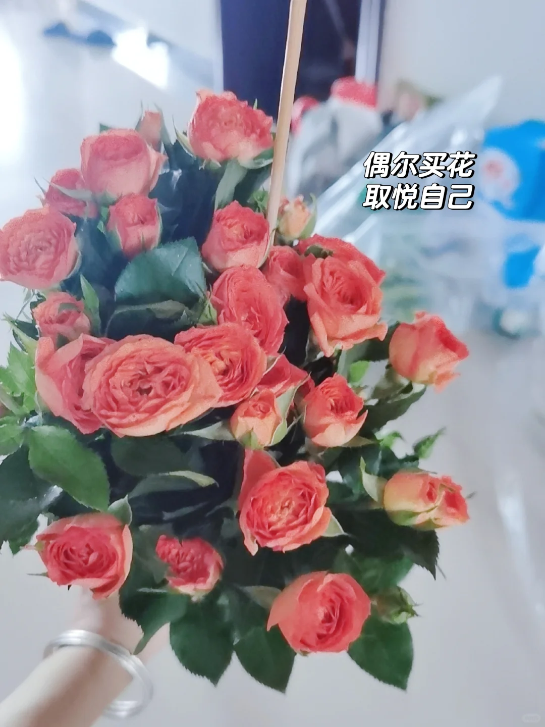 靠借首付买房的女孩，现在怎么样了？