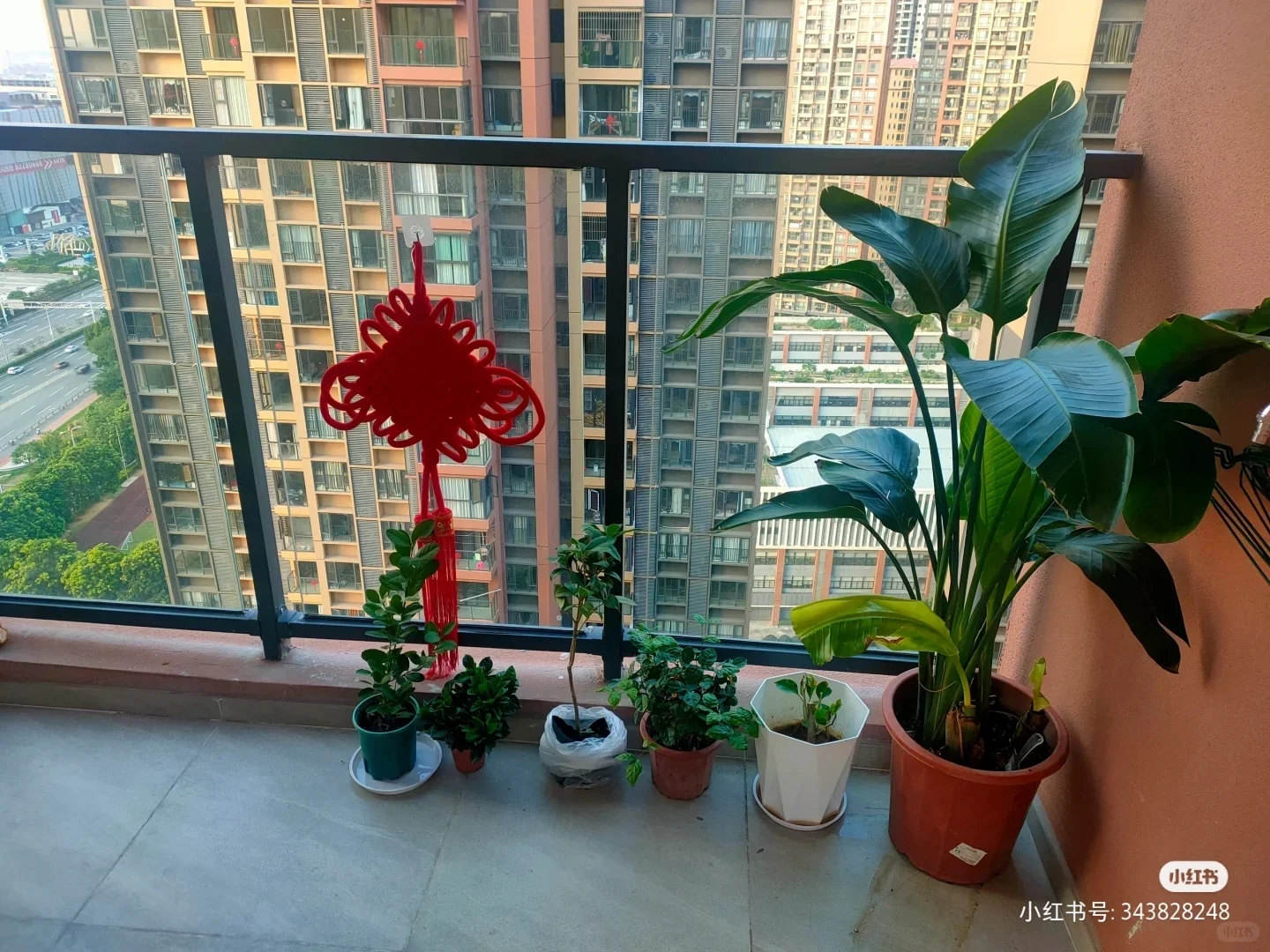 禅城三房出租，免中介费
