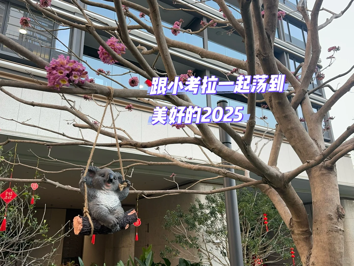 🎊奔向2025｜收房大吉🏃