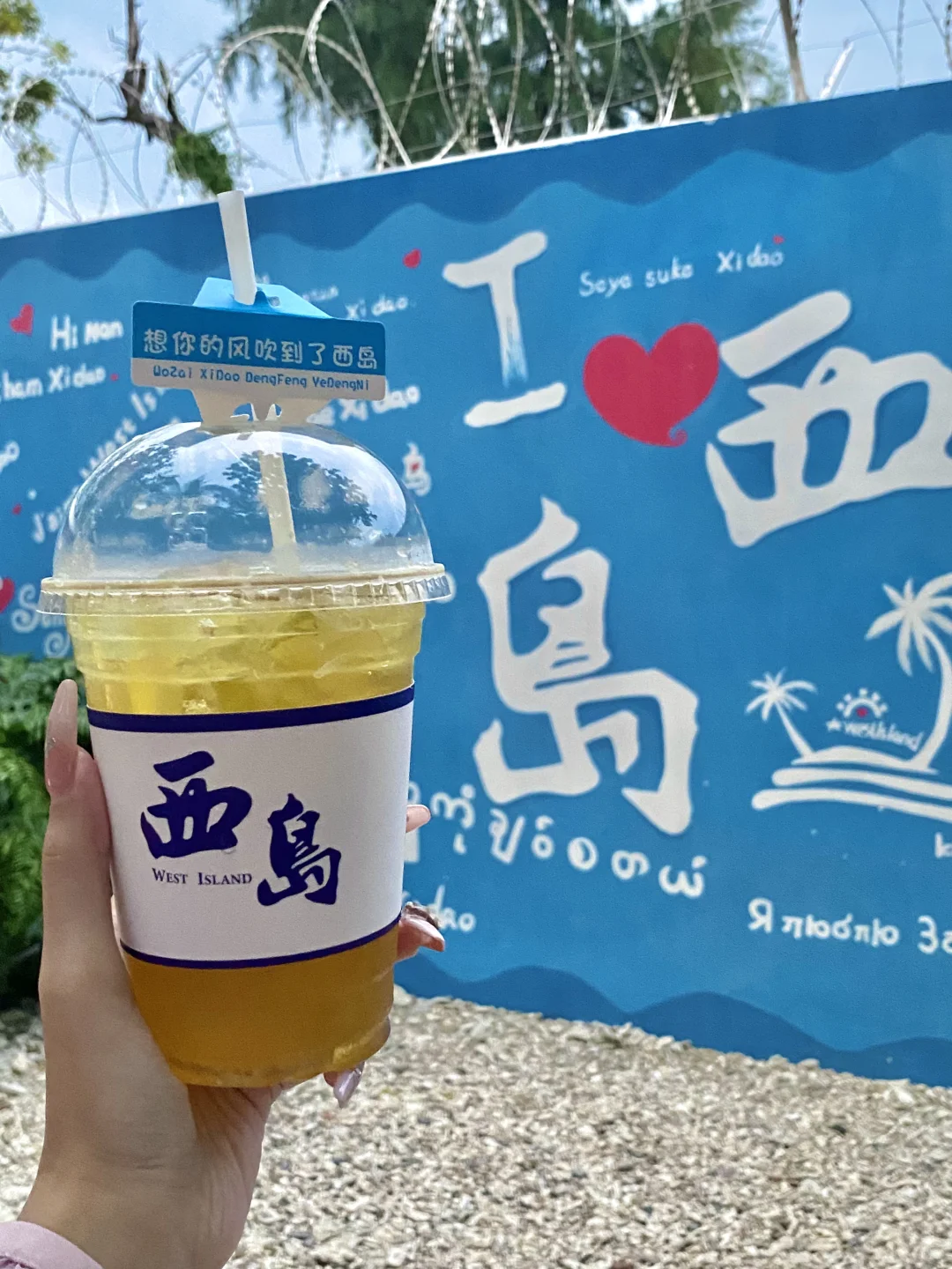 📍𝐒𝐚𝐧𝐘𝐚｜來吹島上的風🌊