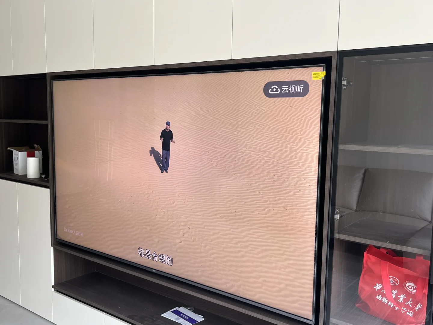 TCL Q9L-C体验