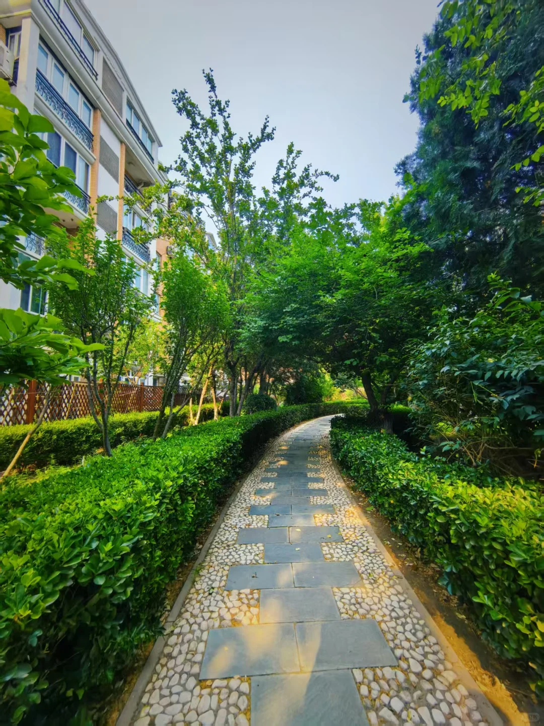 东城二环内六层电梯洋房，一层带院环境实拍