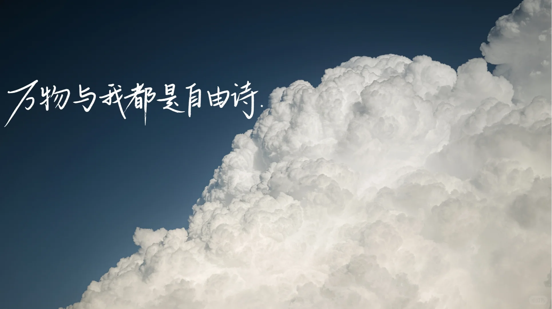 手写壁纸×pad壁纸