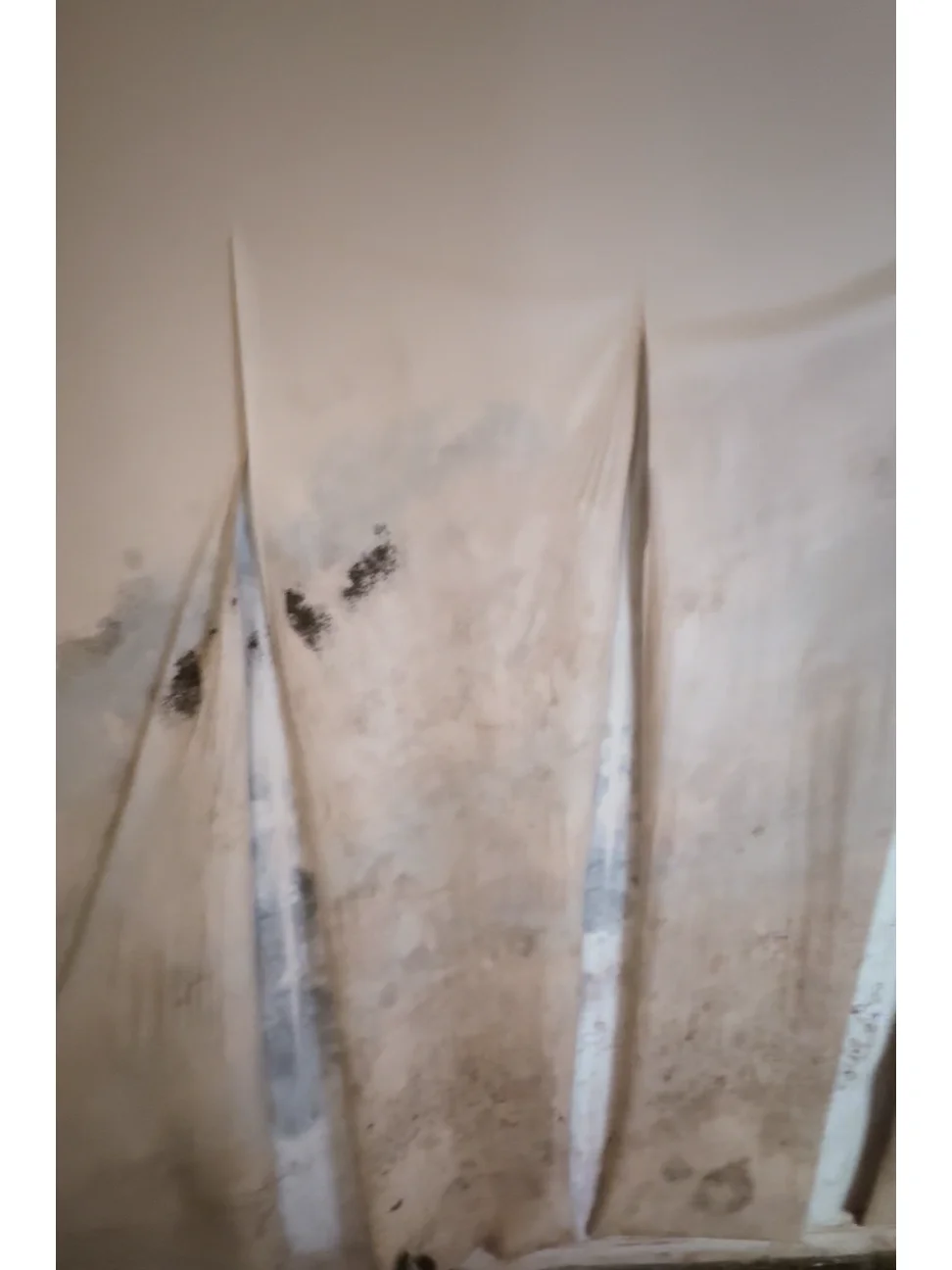 1w拆空200w的法拍房装修让我笑到头掉🏚️