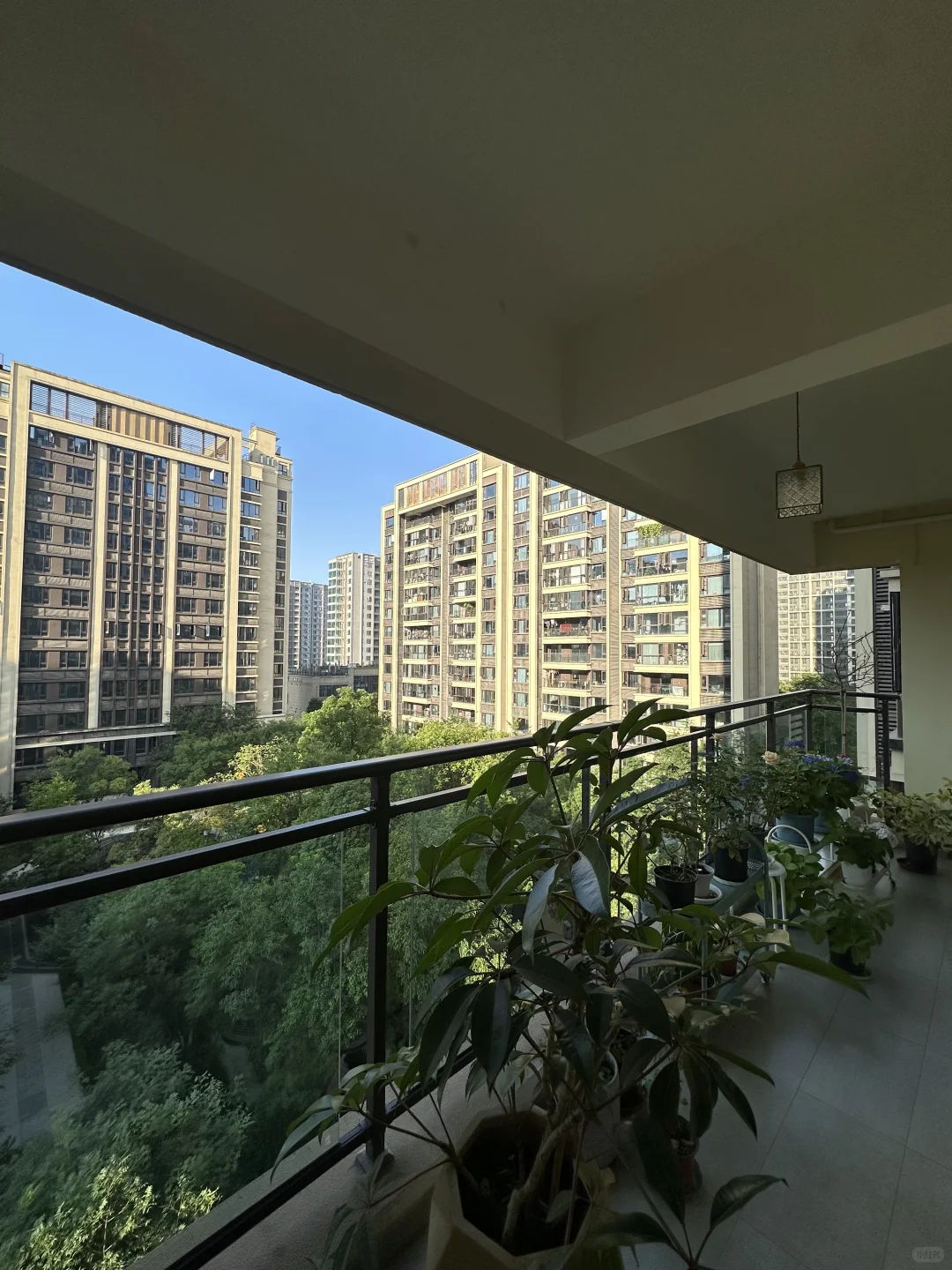 房东卖房🏠6月10日早上7点实拍☀️