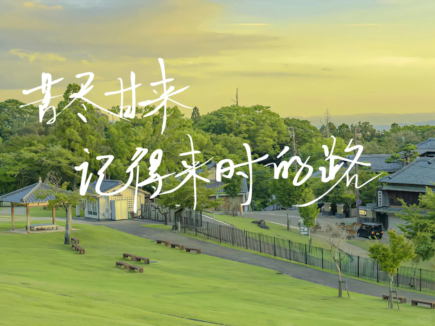 手写｜平板壁纸
