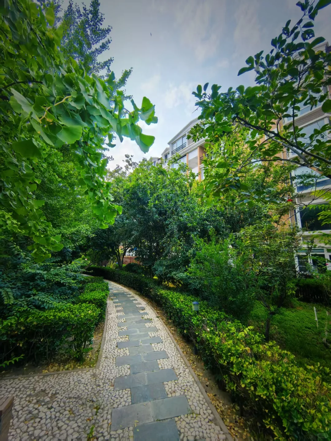 东城二环内六层电梯洋房，一层带院环境实拍