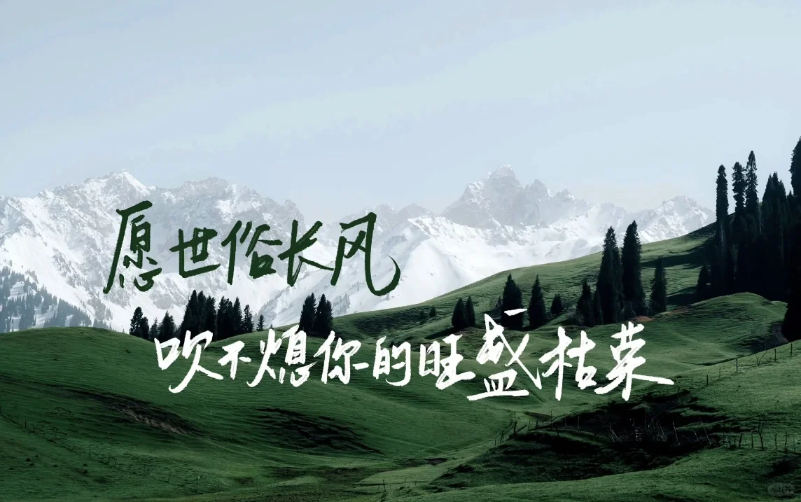 我的青春不应该是潦草诗