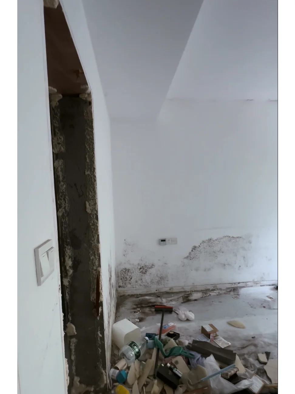 1w拆空200w的法拍房装修让我笑到头掉🏚️