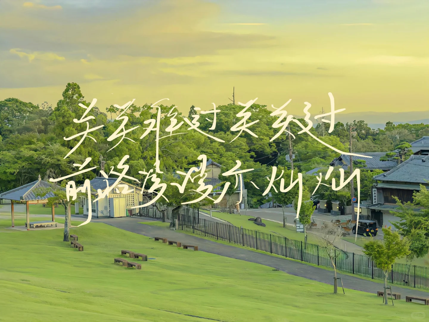 手写｜平板壁纸