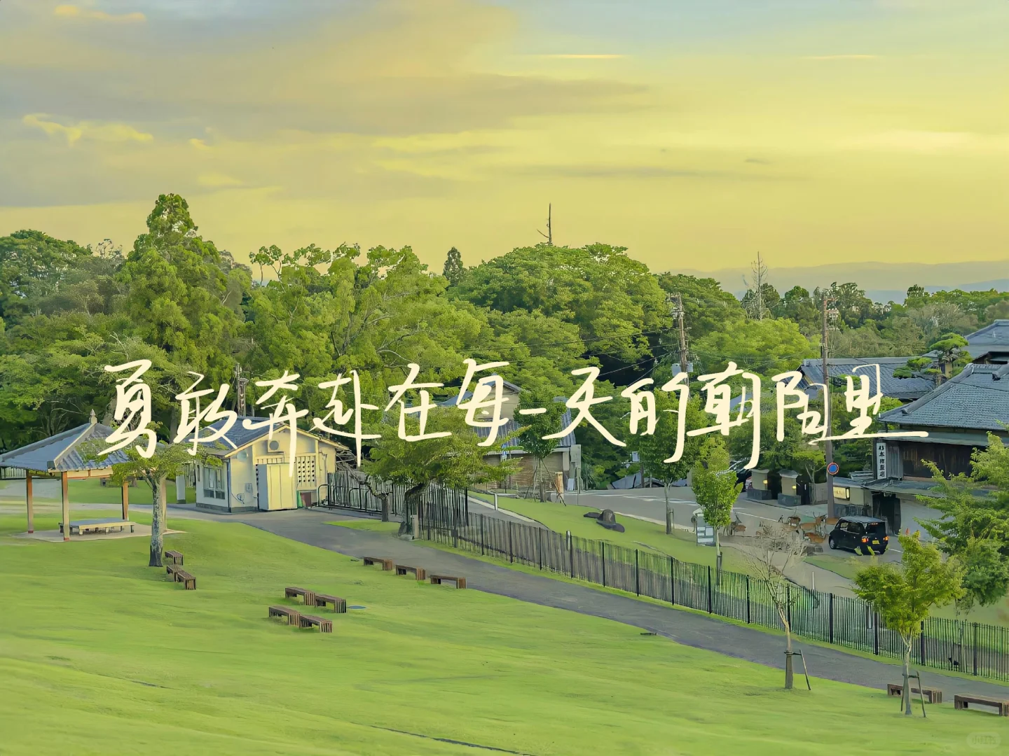 手写｜平板壁纸